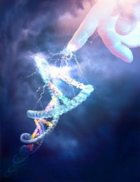Clonación e ingeniería genética